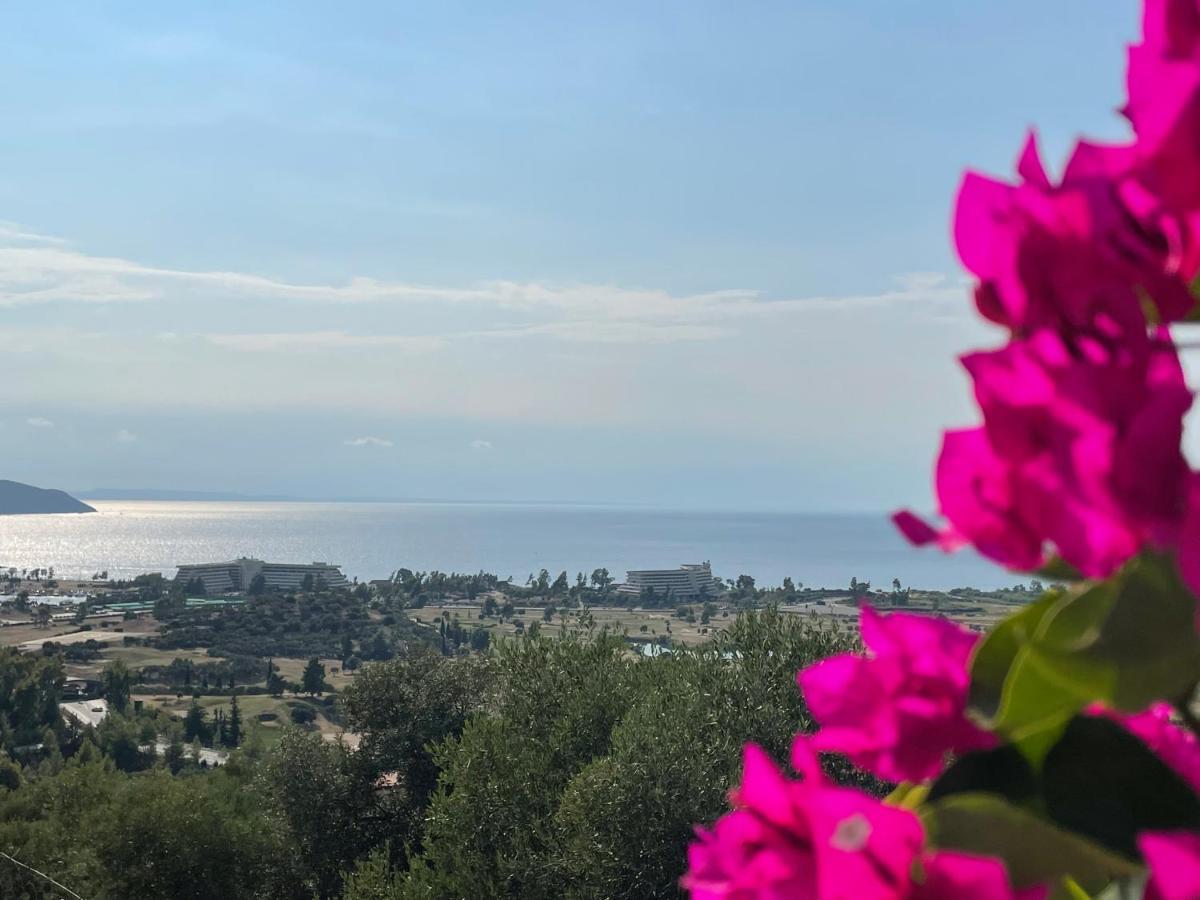 Sithonian Villa Неос Мармарас Екстериор снимка